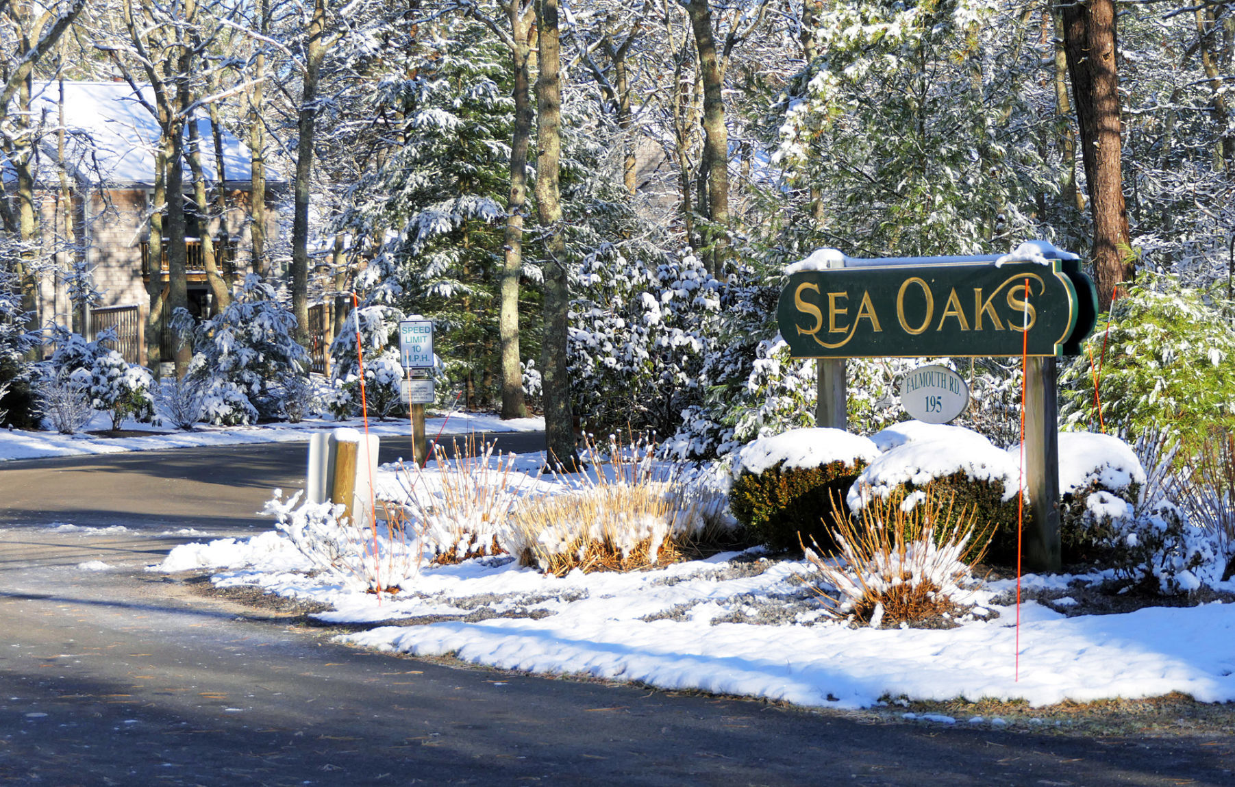 Sea Oaks Stabbing
